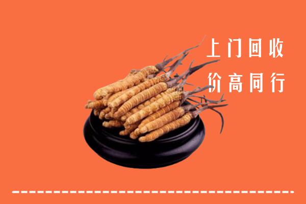 高价求购：重庆市石柱回收散虫草