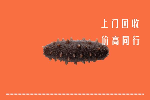 高价求购：重庆市石柱回收海参