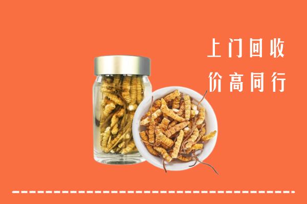 重庆市石柱回收冬虫夏草