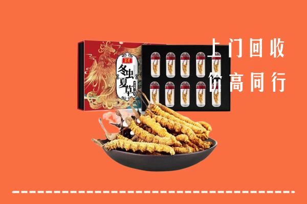 重庆市石柱回收虫草
